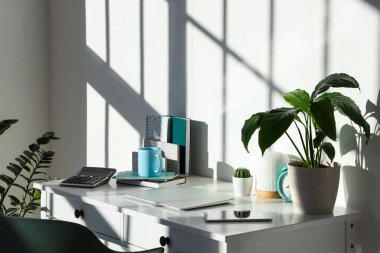 Moda ofisinde ev bitkisi, dizüstü bilgisayar ve tablet bulunan modern işyeri