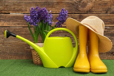 Sulama kabı, lastik botlar ve yeşil çimlerin üzerindeki sümbül çiçekleriyle ahşap arka planda kompozisyon