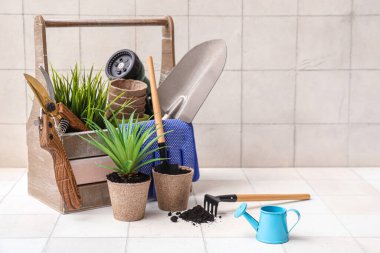 Bahçe aletleri, bitki ve toprak ile kompozisyon beyaz arkaplan karşı