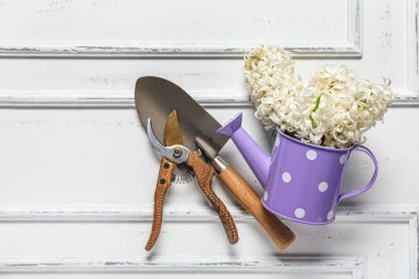 Beyaz arkaplanda bahçe aletleri ve sümbüller