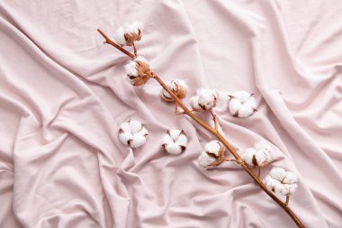 Pamuk filizi ve çiçekler pembe çarşaflarda