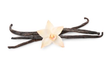 Beyaz arka planda izole edilmiş sopaları olan güzel bir vanilya çiçeği