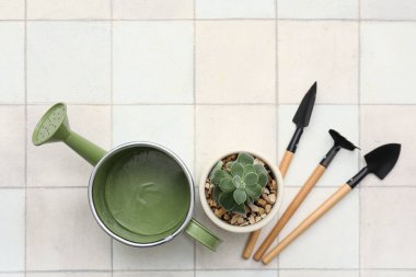 Bahçıvanlık aletleriyle beyaz fayanslı teneke kutuyu sulamak. Üst görünüm