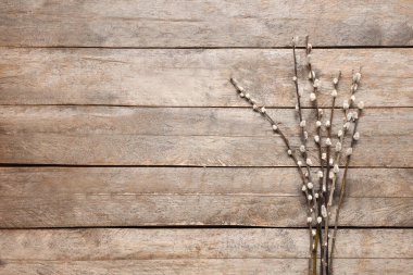 Pussy willow branches on wooden background. Easter celebration