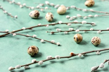 Pussy willow branches and Easter eggs on green background