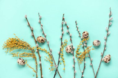 Pussy willow branches with Easter eggs and mimosa flowers on turquoise background