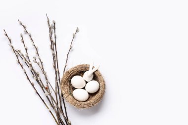 Pussy willow branches and nest with Easter eggs on white background