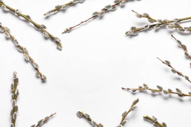Frame made of pussy willow branches on white background. Easter celebration