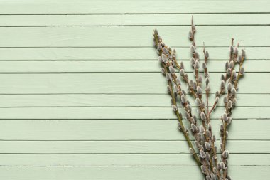 Pussy willow branches on green wooden background. Easter celebration