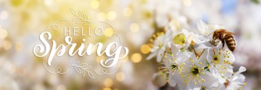 Banner with text HELLO SPRING and honeybee on blossoming tree clipart