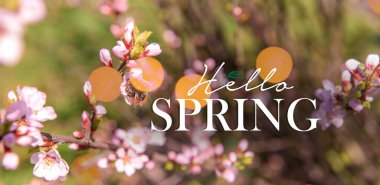 Yazılı pankart Hello İlkbaharı ve çiçek açan ağaç