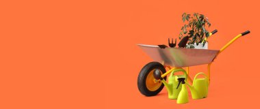 Turuncu arka planda bitki ve bahçe malzemeleri ile el arabası.