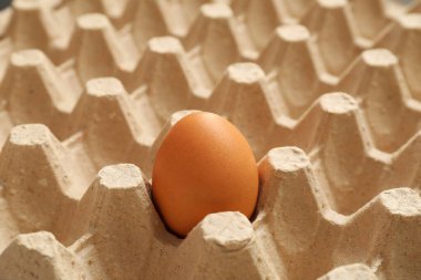 Karton kutuda tavuk yumurtası, yakın plan.