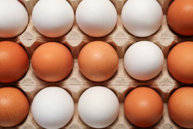 Arka plan olarak karton kutuda tavuk yumurtası