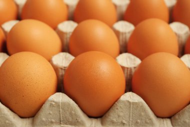 Arka plan olarak karton kutuda tavuk yumurtası