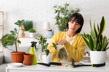 Evinde bahçe eldivenleri takan güzel ve genç bir bahçıvan.