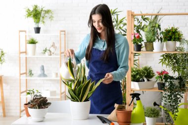 Güzel, genç, mutlu kadın bahçıvan evdeki çiçekleri suluyor.