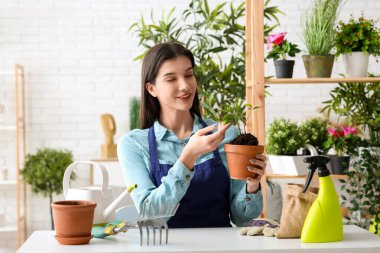 Güzel, genç, mutlu kadın bahçıvan evdeki çiçekleriyle ilgileniyor.