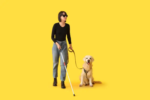stock image Blind woman with guide dog on yellow background