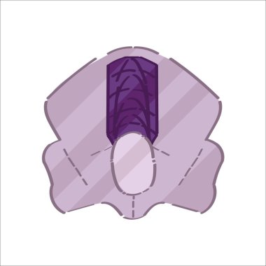 Beyaz arkaplanda çivi yastığı