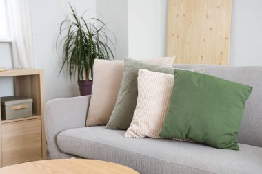 Kanepesi ve yumuşak yastıkları olan modern bir oturma odası.