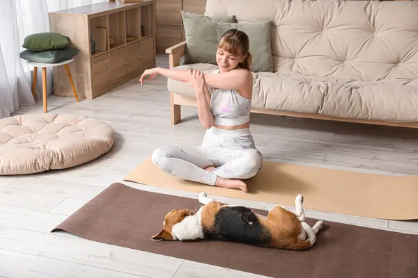 Young Woman Exercising Cute Beagle Dog Home — Stock Photo, Image