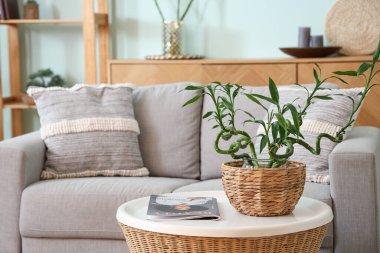 Oturma odasında bambu bitkisi olan rahat bir kanepe ve kahve masası.