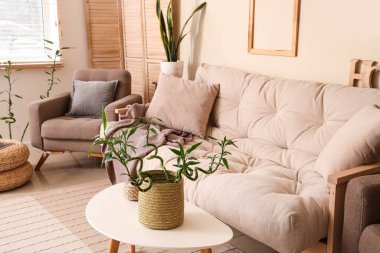 Rahat beyaz kanepe ve oturma odasında bambu bitkisi olan kahve masası.