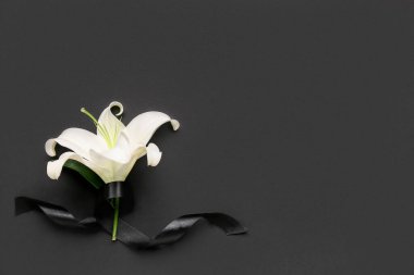 Koyu arkaplanda siyah cenaze kurdelesiyle güzel zambak çiçekleri