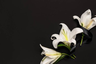 Koyu arkaplanda siyah cenaze kurdelesiyle güzel zambak çiçekleri