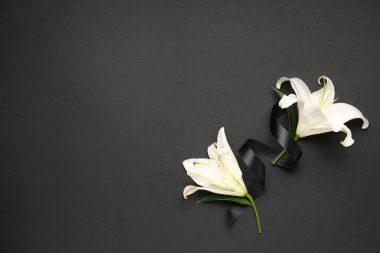 Koyu arkaplanda siyah cenaze kurdelesiyle güzel zambak çiçekleri