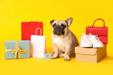 Sarı arka planda hediye kartı, hediye kartı ve alışverişi olan sevimli Fransız bulldog 'u.