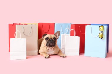 Alışveriş torbaları ve pembe arka planda güneş gözlüğü olan sevimli Fransız bulldog 'u.