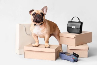 Beyaz arka planda alışveriş çantası, kutu ve ödeme terminali olan sevimli bir Fransız bulldog 'u.