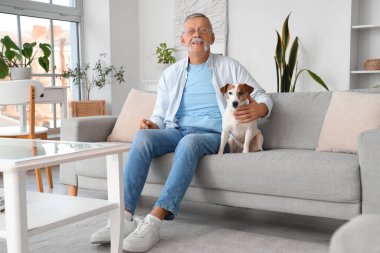 Evdeki kanepede oturan tatlı Jack Russell teriyeri olan olgun bir adam.