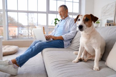 Sevimli Jack Russell Teriyer ve olgun bir adam evdeki kanepede.