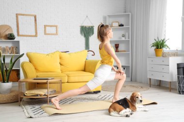 Beagle köpekli genç bir kadın evde yoga yapıyor.