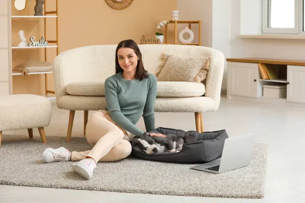 Beautiful young woman with laptop and cute staffordshire terrier puppy sleeping in pet bed at home