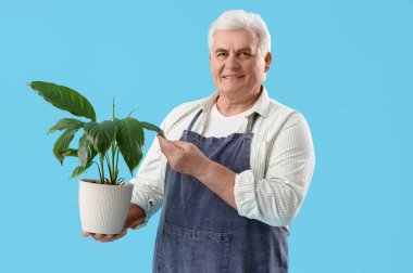 Mavi arka planda bitkisi olan olgun bahçıvan.