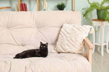 Oturma odasındaki bej kanepede yatan sevimli siyah kedi.