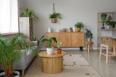 Oturma odasında bitkiler, kanepe ve masa var.