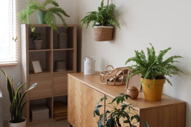 Oturma odasının içinde bitkiler, tuvalet ve raf ünitesi var.