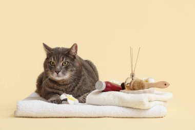 Kozmetik ürünleri, havluları ve bej arka planda masaj fırçası olan sevimli gri kedi.