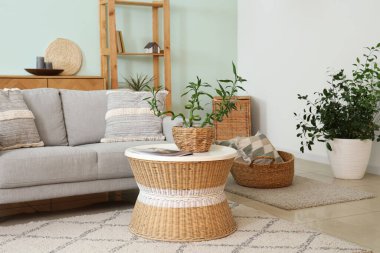 Kahve sehpası ve bambu bitkisi olan şık bir kanepe.