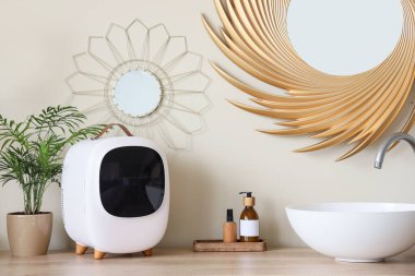 Küçük kozmetik buzdolabı, lavabo ve ev bitkisi.