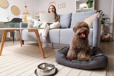 Evcil hayvan yatağında sevimli bir kaniş ve evdeki kanepede dizüstü bilgisayarı olan genç bir kadın.