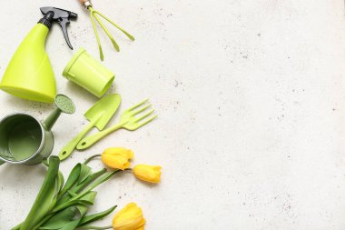 Beyaz arka planda lale çiçekleri olan bahçe malzemeleri. Üst görünüm