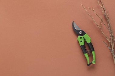 Kahverengi arka planda bahçıvanlık yapan mezhepçiler ve dallar