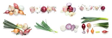 Beyaz zemin üzerinde farklı soğan ve baharat çeşitleri kolajı