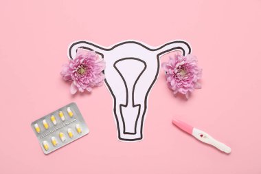 Kasımpatı çiçekli kağıt rahim, hamilelik testi ve pembe arka planda haplar.